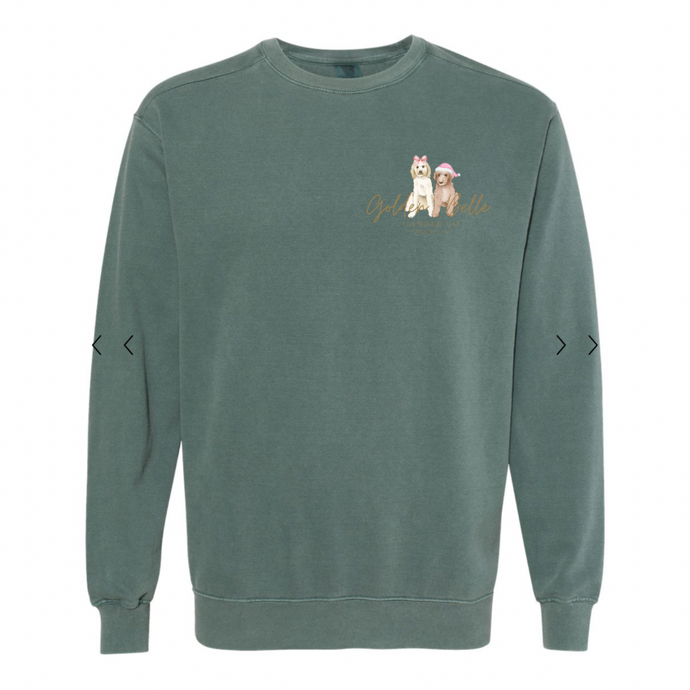 Christmas Sweatshirt and T shirt   🎄
